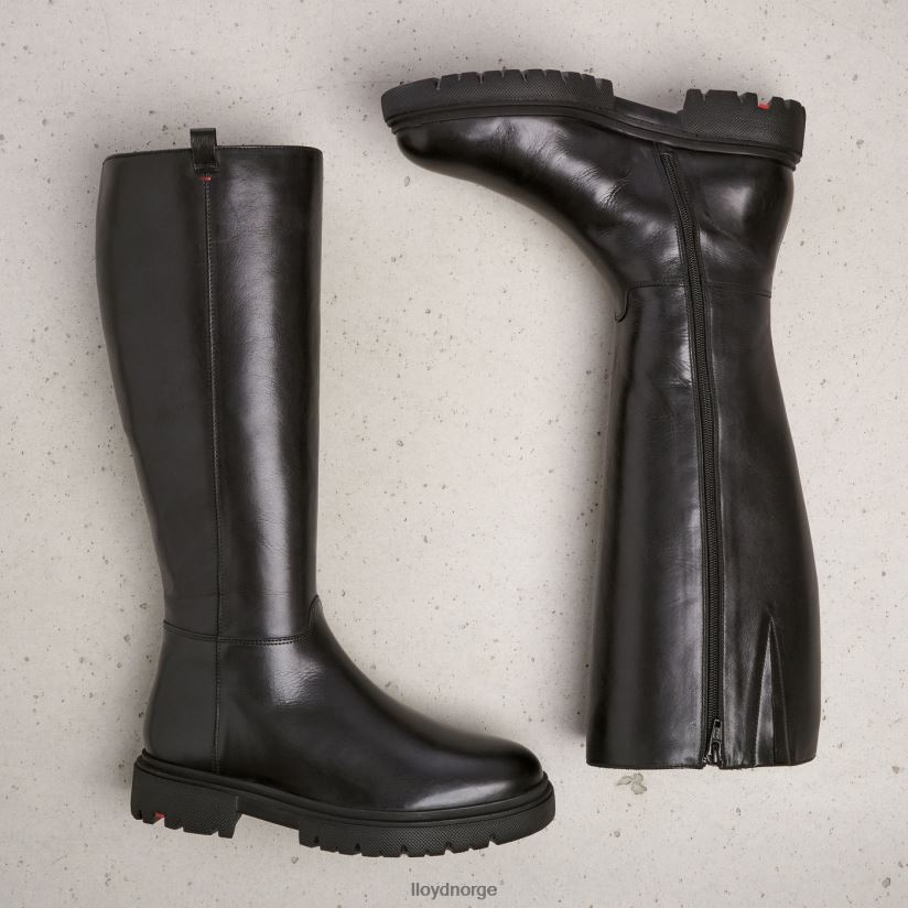 LLOYD støvler kvinner sko svart 4X82ZP1194