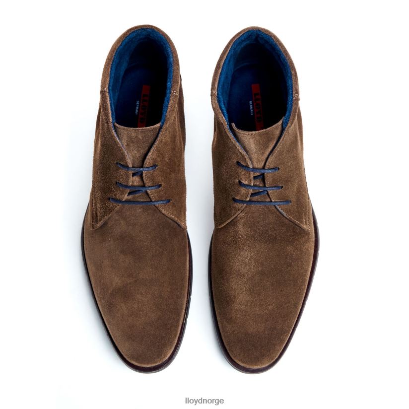 LLOYD tamar menn sko brun 4X82ZP49