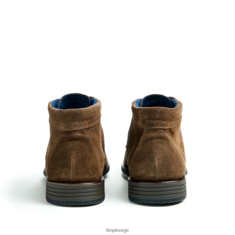 LLOYD tamar menn sko brun 4X82ZP49