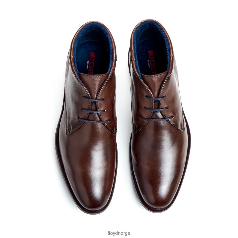 LLOYD tamar menn sko brun 4X82ZP55