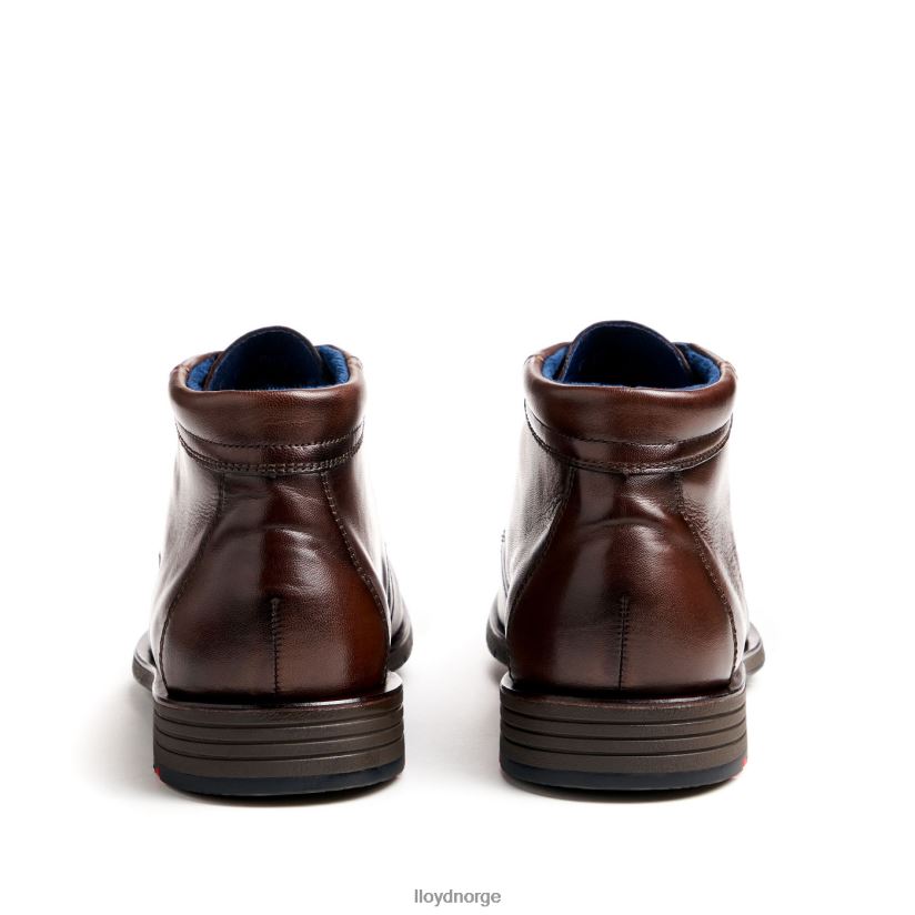 LLOYD tamar menn sko brun 4X82ZP55