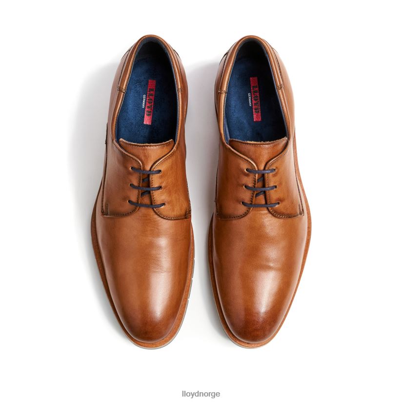 LLOYD tambo menn sko brun 4X82ZP23