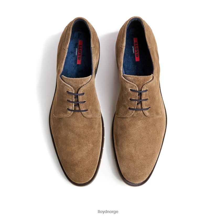 LLOYD tambo menn sko brun 4X82ZP92