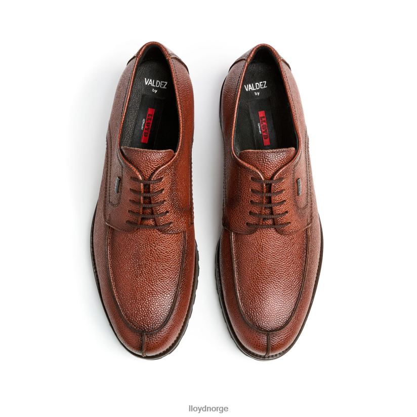 LLOYD valdez menn sko brun 4X82ZP161