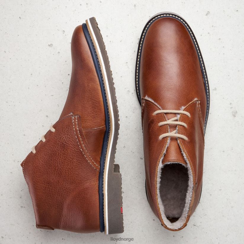 LLOYD valencia menn sko brun 4X82ZP507