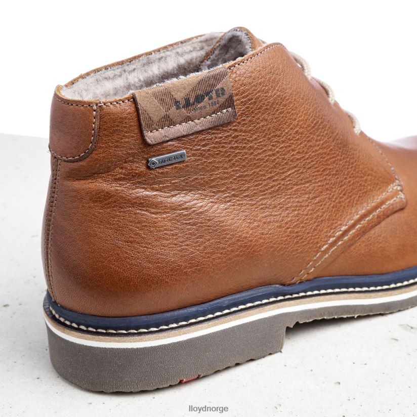 LLOYD valencia menn sko brun 4X82ZP507