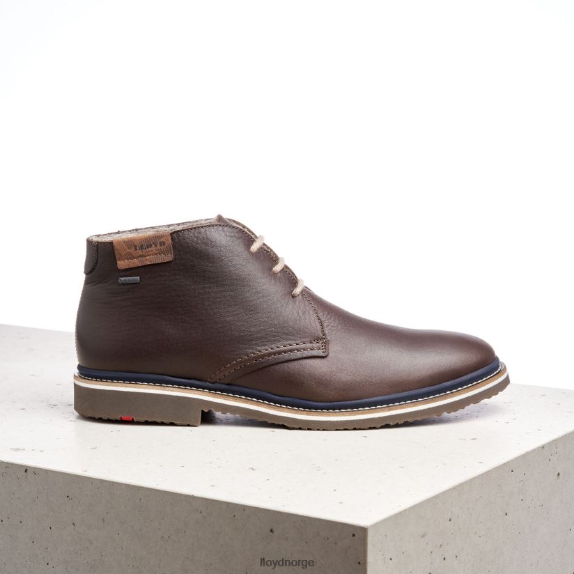 LLOYD valencia menn sko brun 4X82ZP508