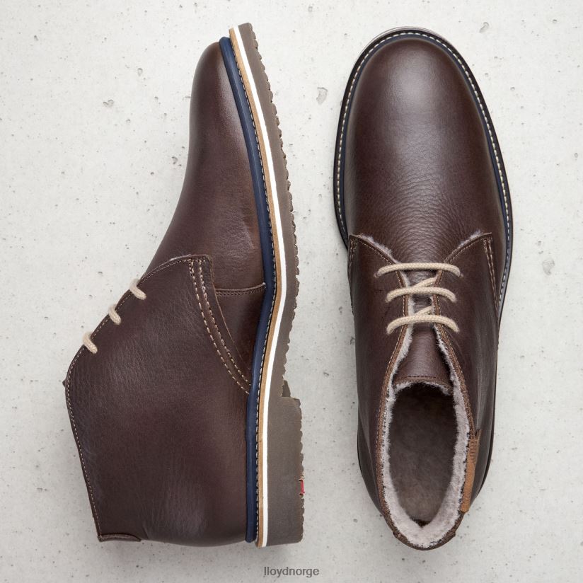 LLOYD valencia menn sko brun 4X82ZP508