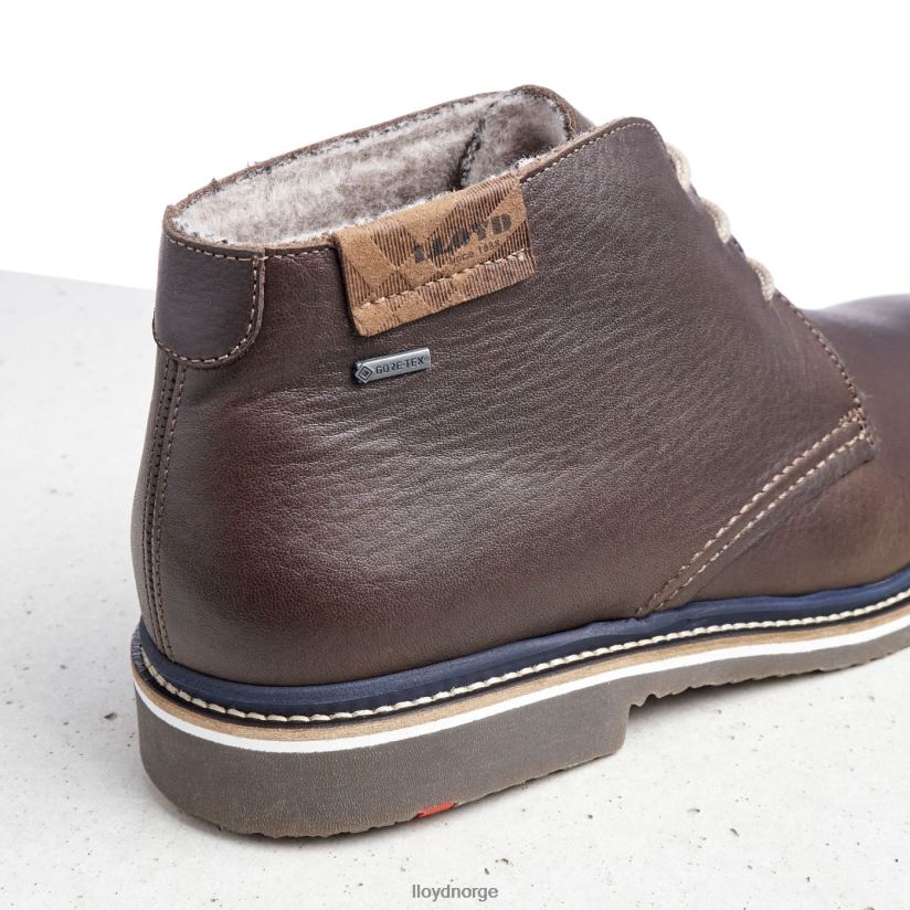 LLOYD valencia menn sko brun 4X82ZP508