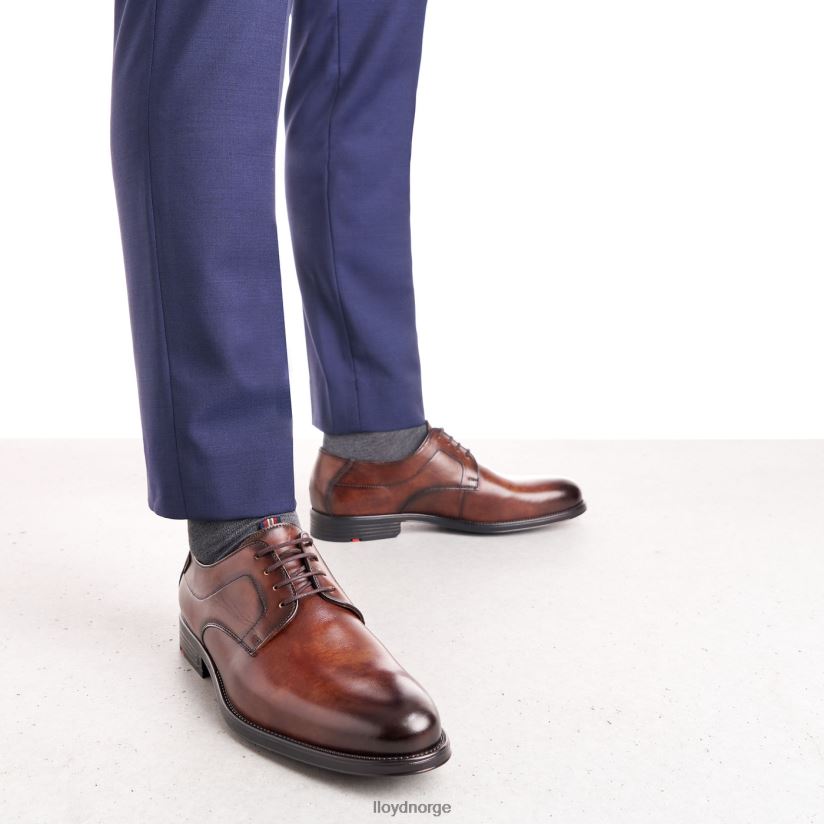 LLOYD valmary menn sko brun 4X82ZP22