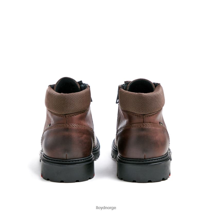 LLOYD vancouver menn sko brun 4X82ZP534