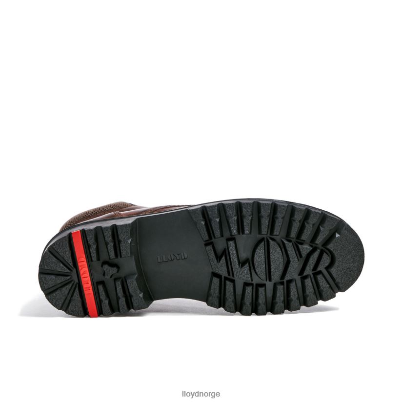 LLOYD vancouver menn sko brun 4X82ZP534