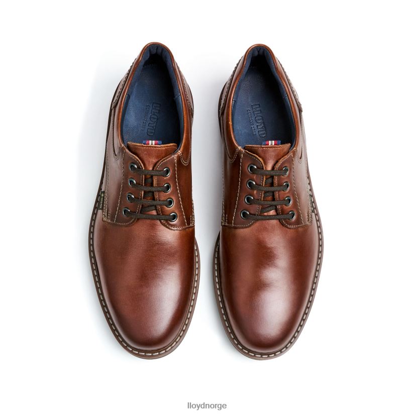 LLOYD vanja menn sko brun 4X82ZP125