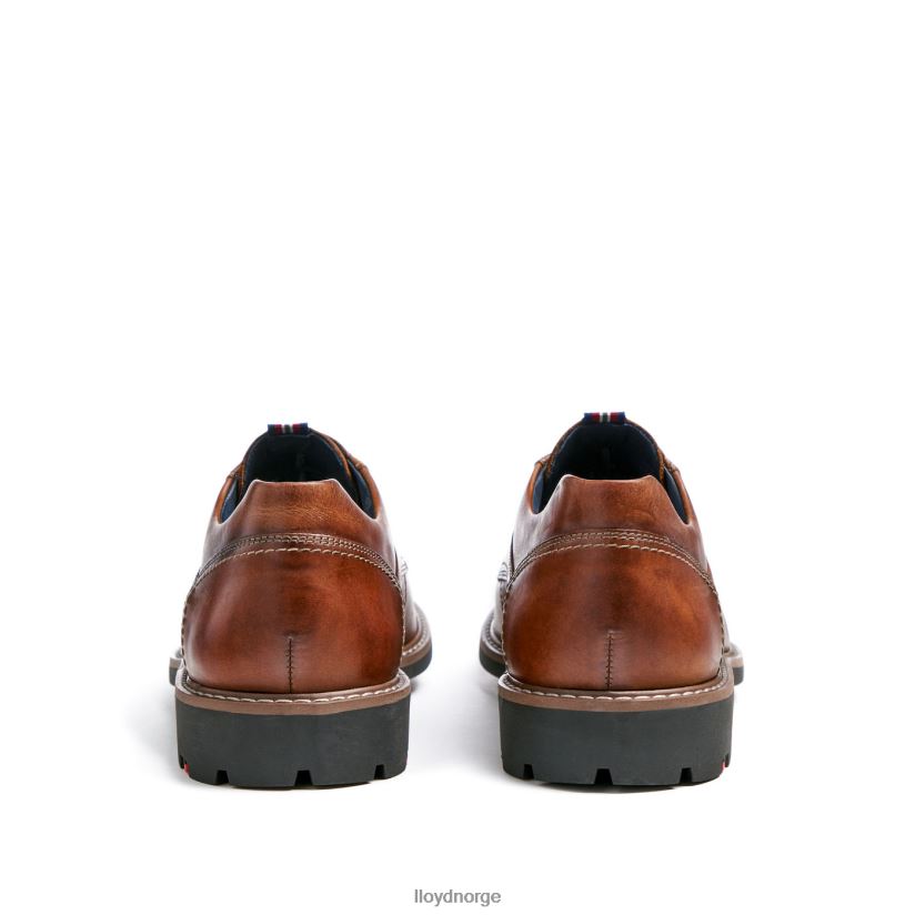 LLOYD vanja menn sko brun 4X82ZP125