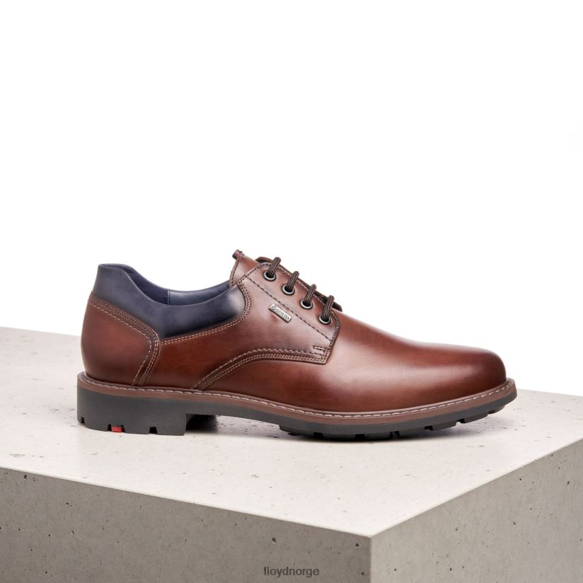 LLOYD vanja menn sko brun 4X82ZP576