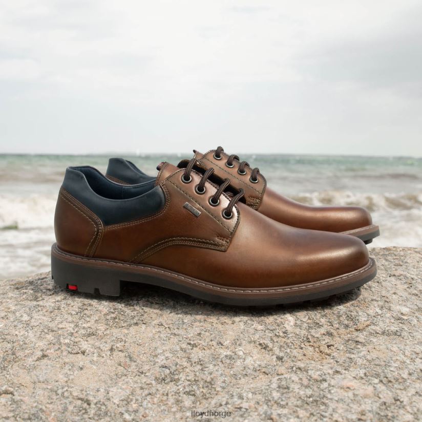 LLOYD vanja menn sko brun 4X82ZP576