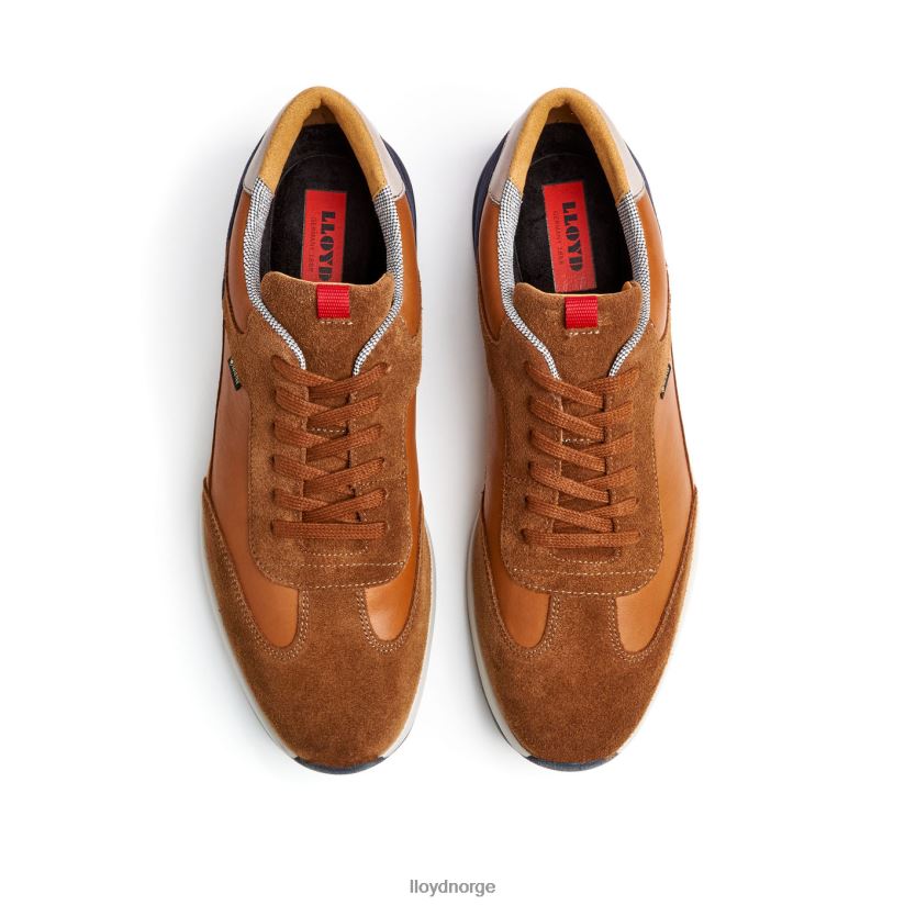 LLOYD vedea menn sko brun 4X82ZP322