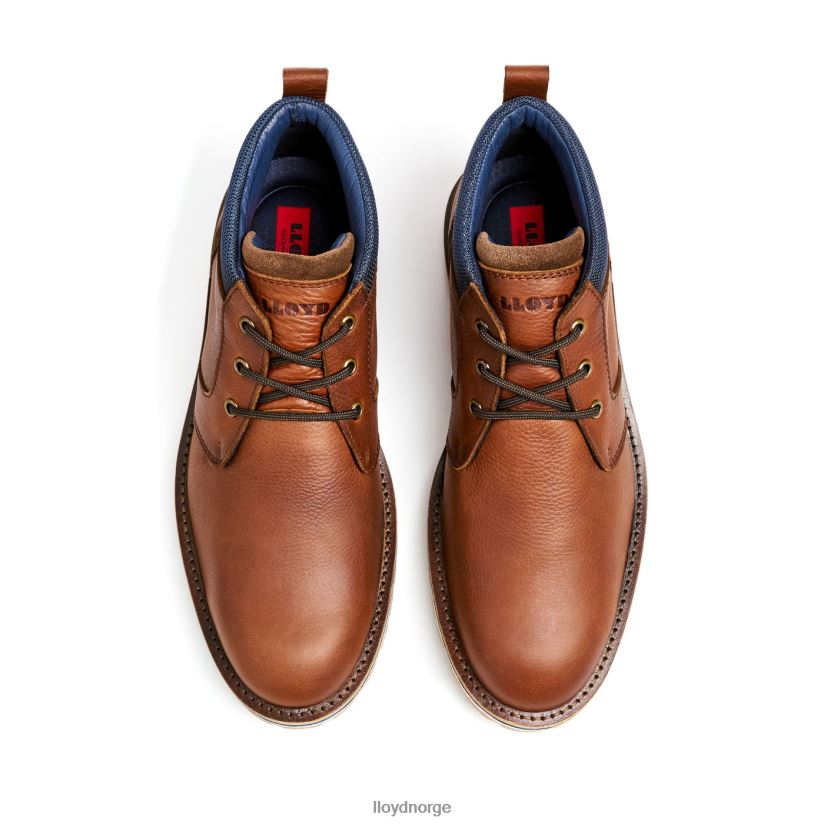 LLOYD vegas menn sko brun 4X82ZP511