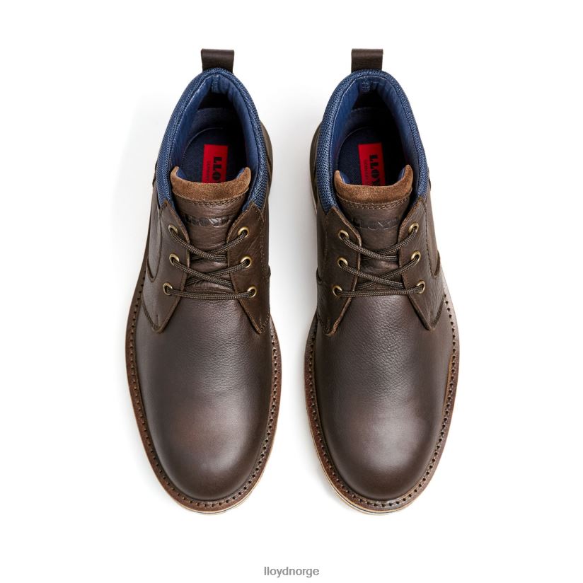 LLOYD vegas menn sko brun 4X82ZP512