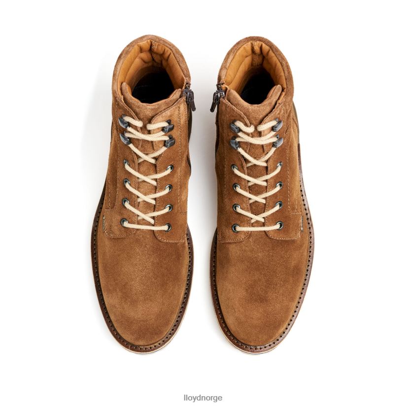 LLOYD veit menn sko brun 4X82ZP520