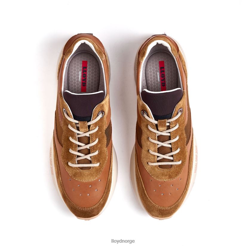 LLOYD velo 2 kvinner sko brun 4X82ZP796