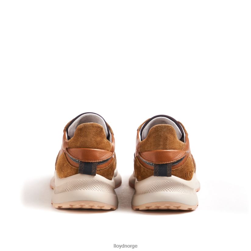 LLOYD velo 2 kvinner sko brun 4X82ZP796