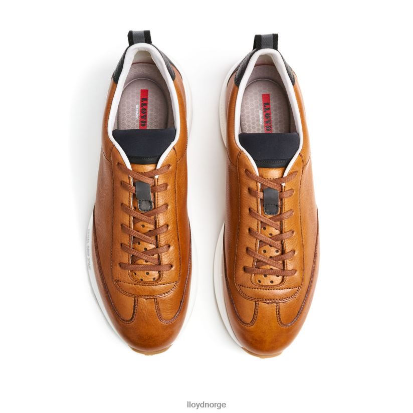 LLOYD velo 6 menn sko brun 4X82ZP435