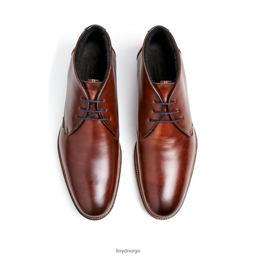 LLOYD verdon menn sko brun 4X82ZP138