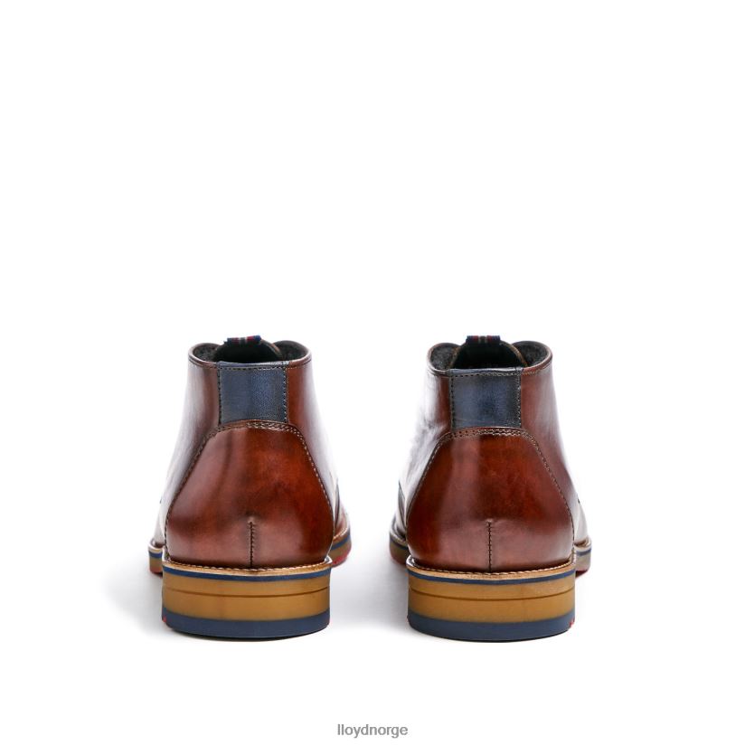 LLOYD verdon menn sko brun 4X82ZP138