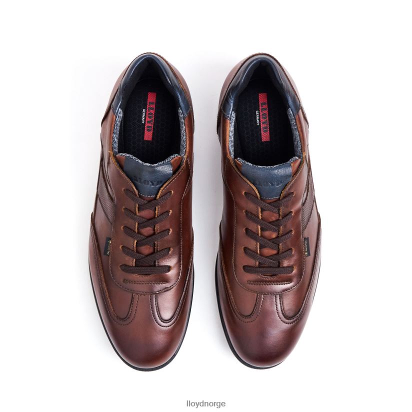 LLOYD vernon menn sko brun 4X82ZP136