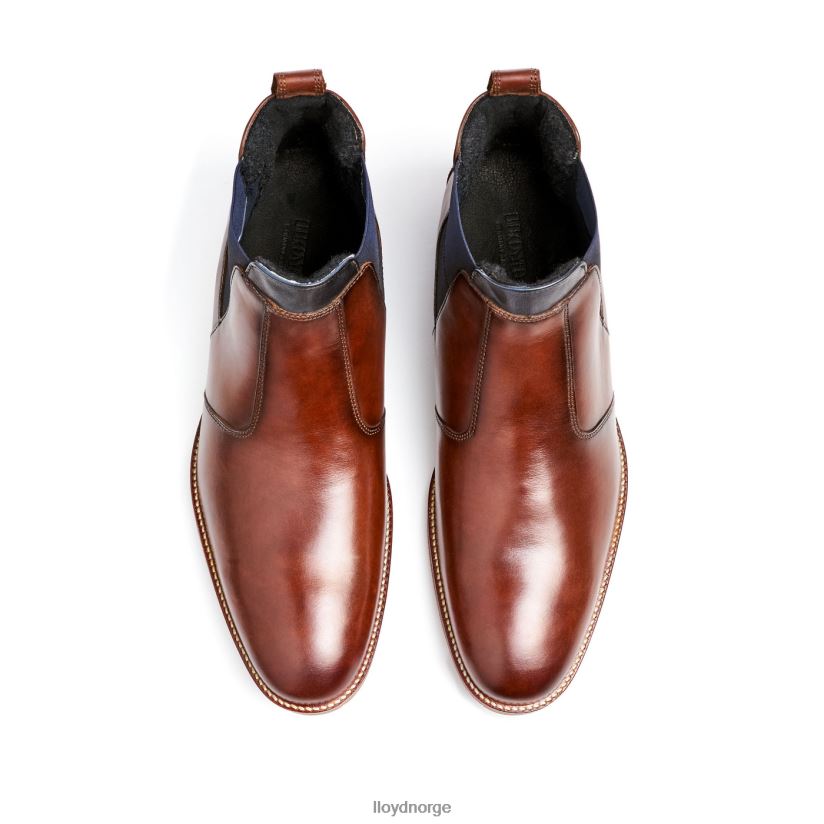 LLOYD vesuv menn sko brun 4X82ZP145