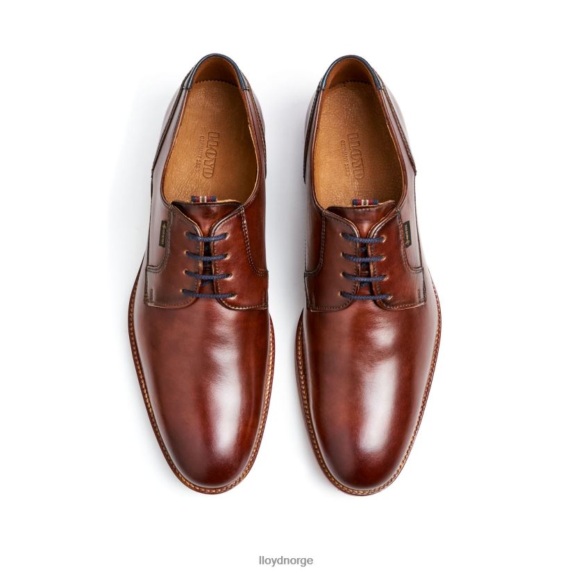 LLOYD vickers menn sko brun 4X82ZP122