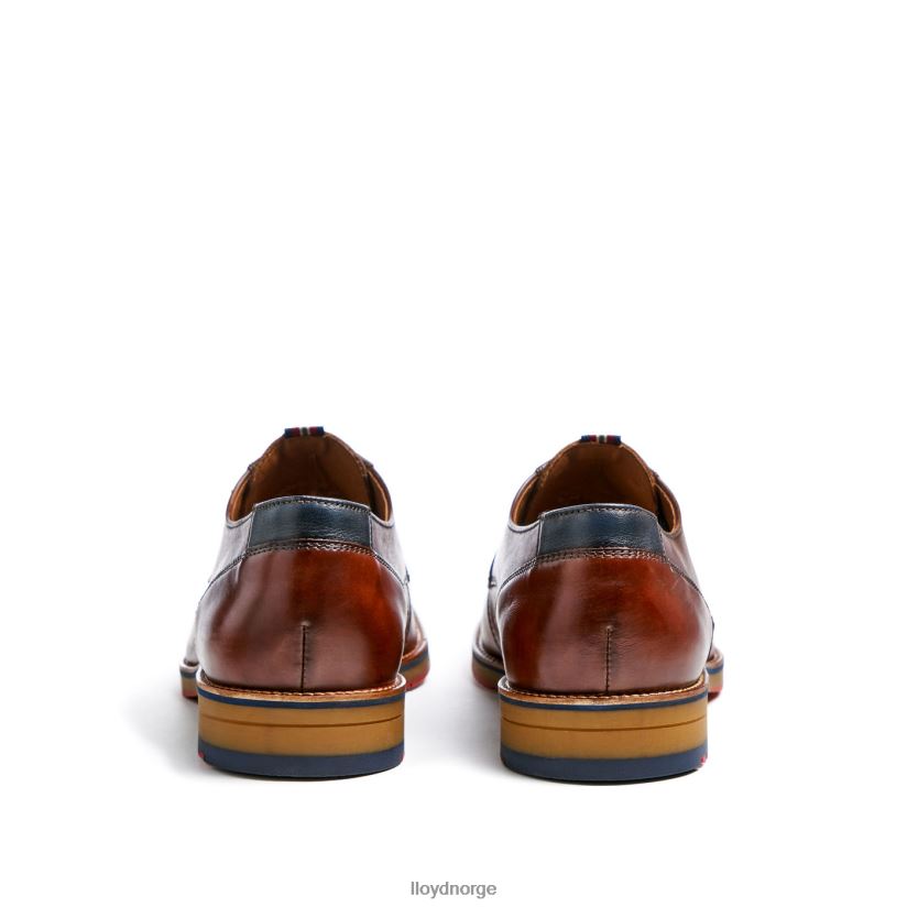 LLOYD vickers menn sko brun 4X82ZP122