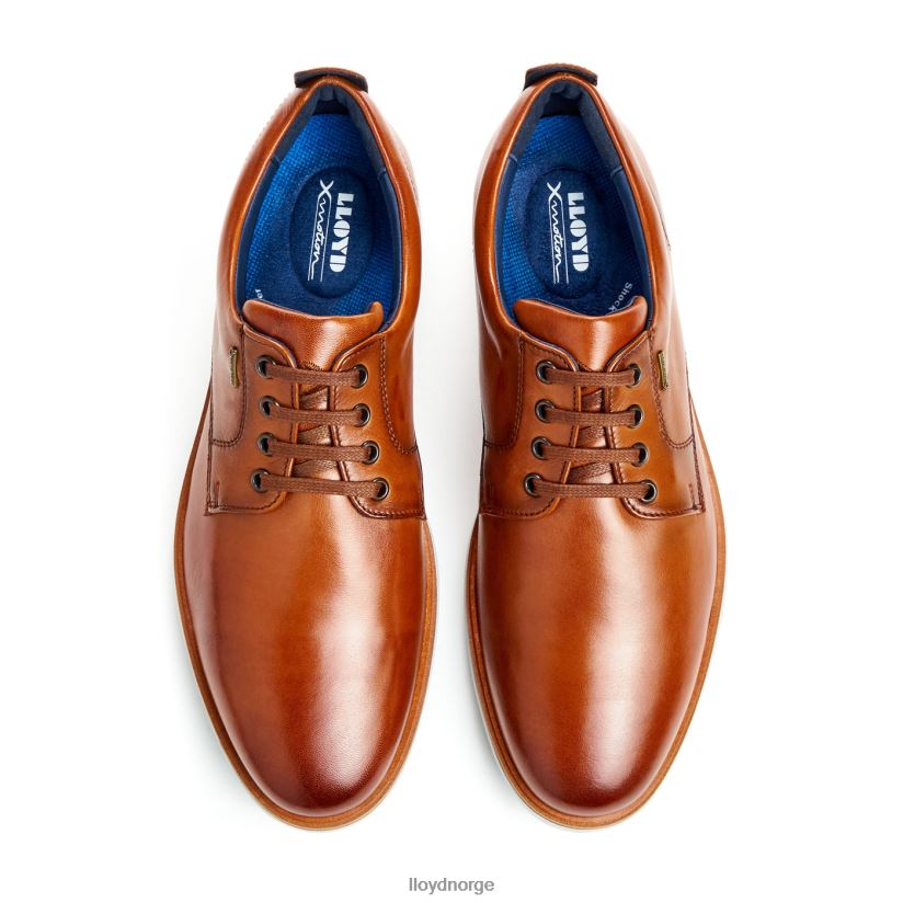 LLOYD vin menn sko brun 4X82ZP139