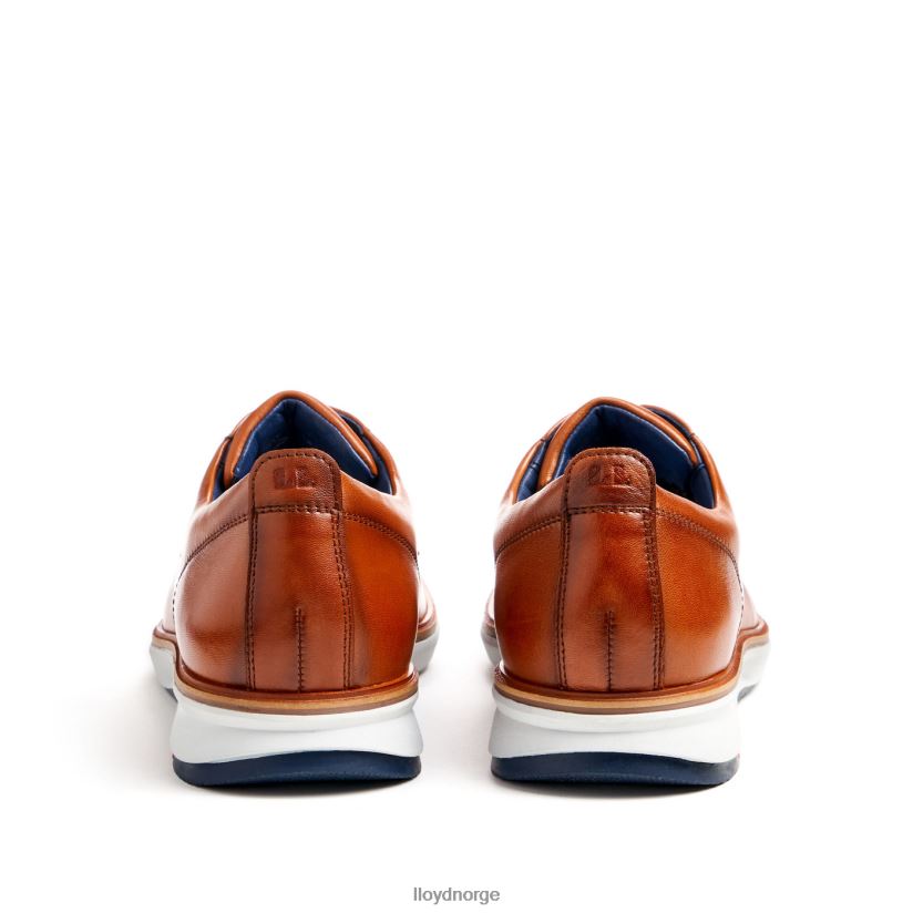 LLOYD vin menn sko brun 4X82ZP139