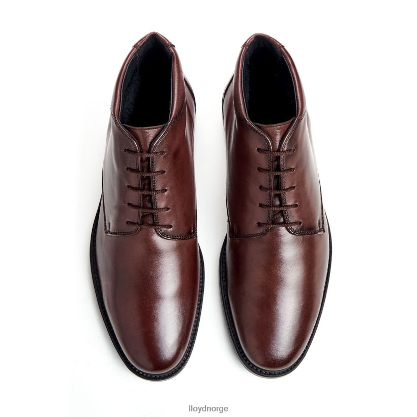 LLOYD vin menn sko brun 4X82ZP528