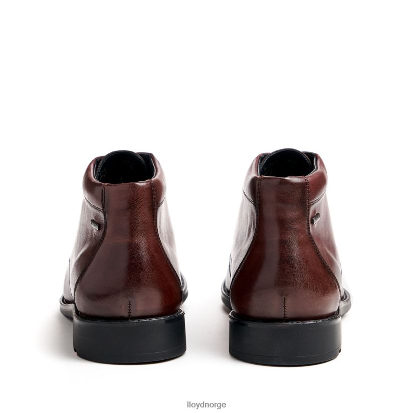 LLOYD vin menn sko brun 4X82ZP528