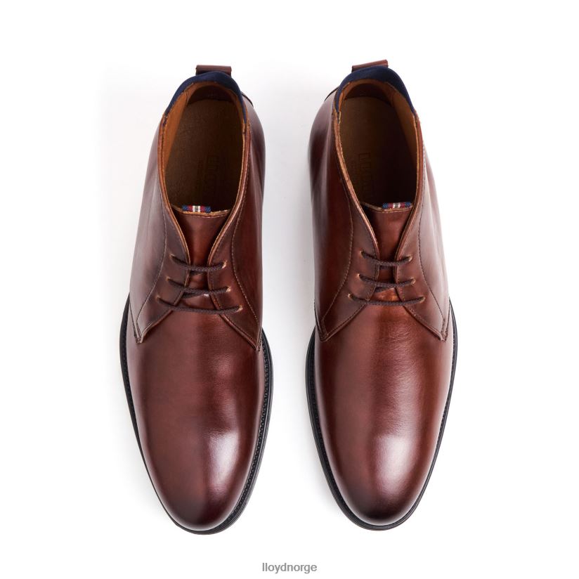 LLOYD vinge menn sko brun 4X82ZP131