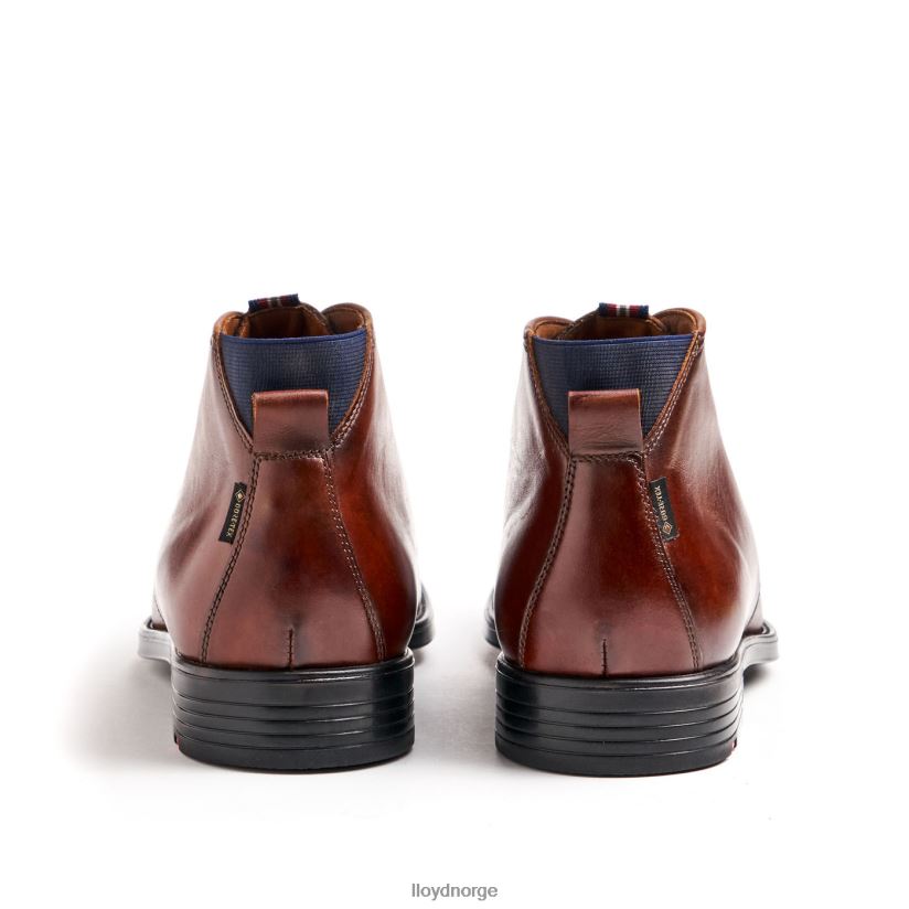 LLOYD vinge menn sko brun 4X82ZP131