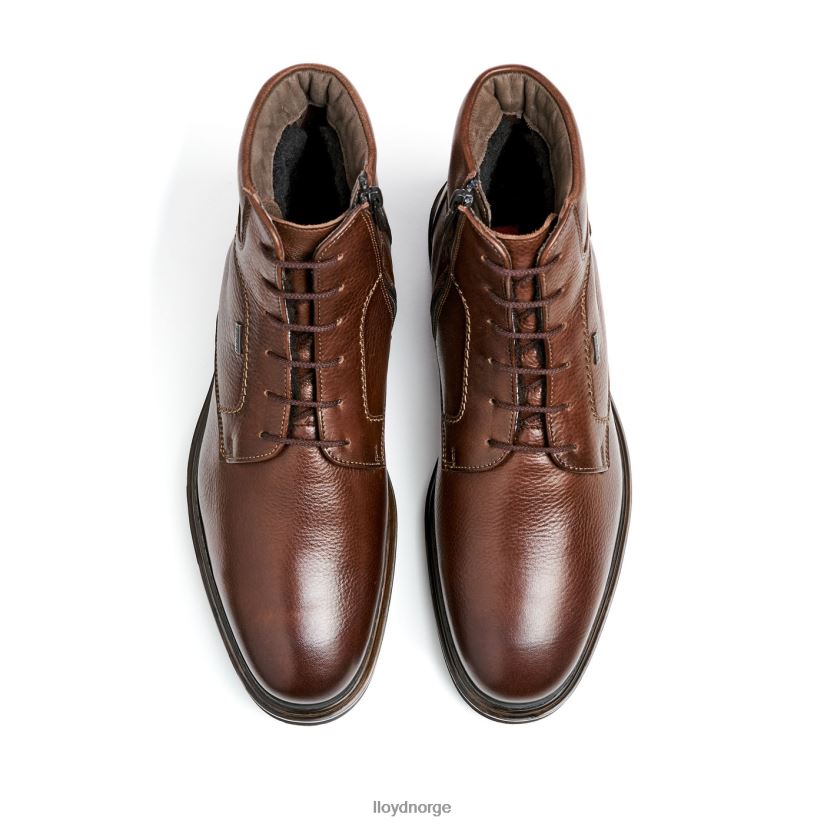 LLOYD vinranke menn sko brun 4X82ZP513