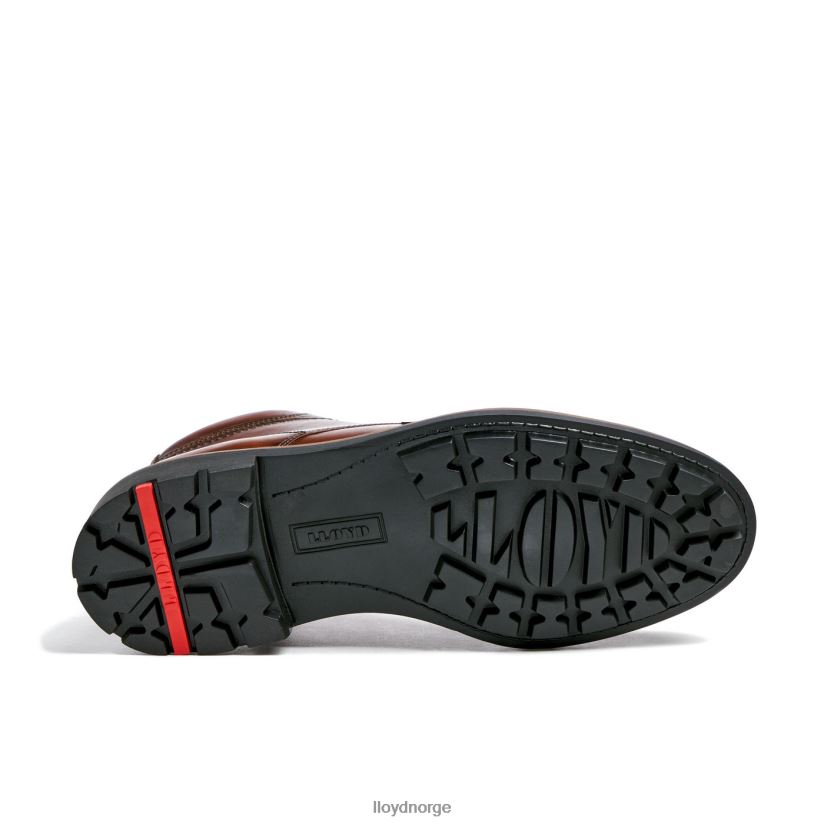 LLOYD visco menn sko brun 4X82ZP515