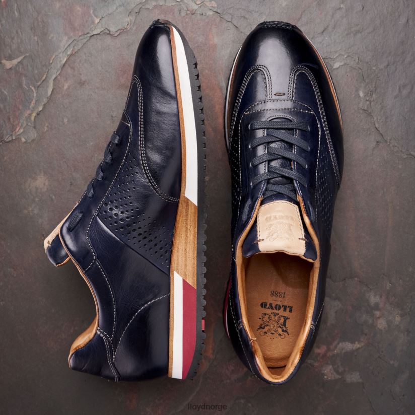 LLOYD walcott menn sko blå 4X82ZP203