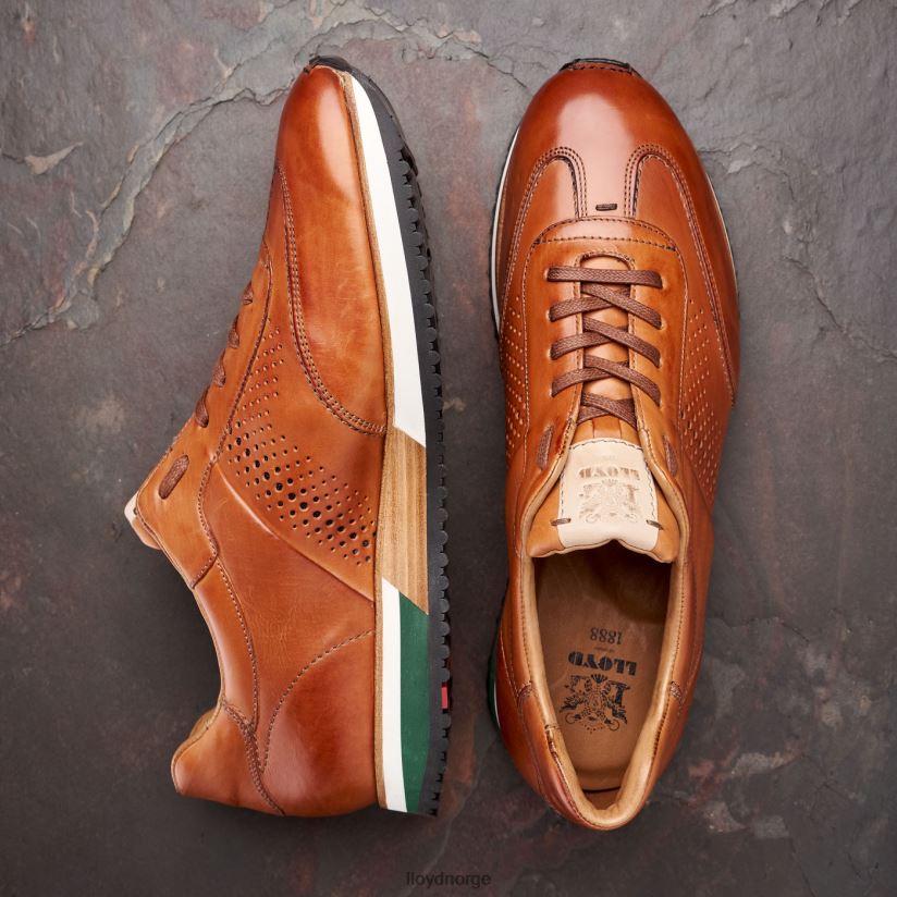 LLOYD walcott menn sko brun 4X82ZP180