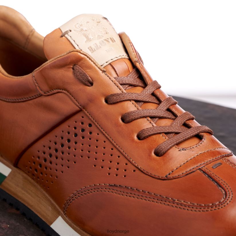 LLOYD walcott menn sko brun 4X82ZP180