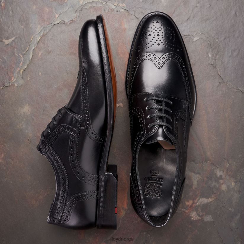 LLOYD waltham menn sko svart 4X82ZP70