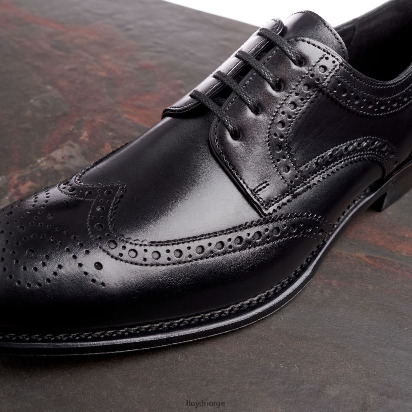 LLOYD waltham menn sko svart 4X82ZP70