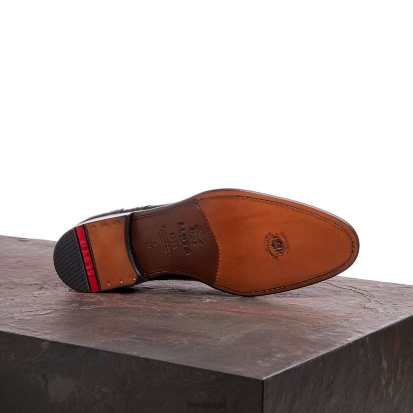 LLOYD waltham menn sko svart 4X82ZP70