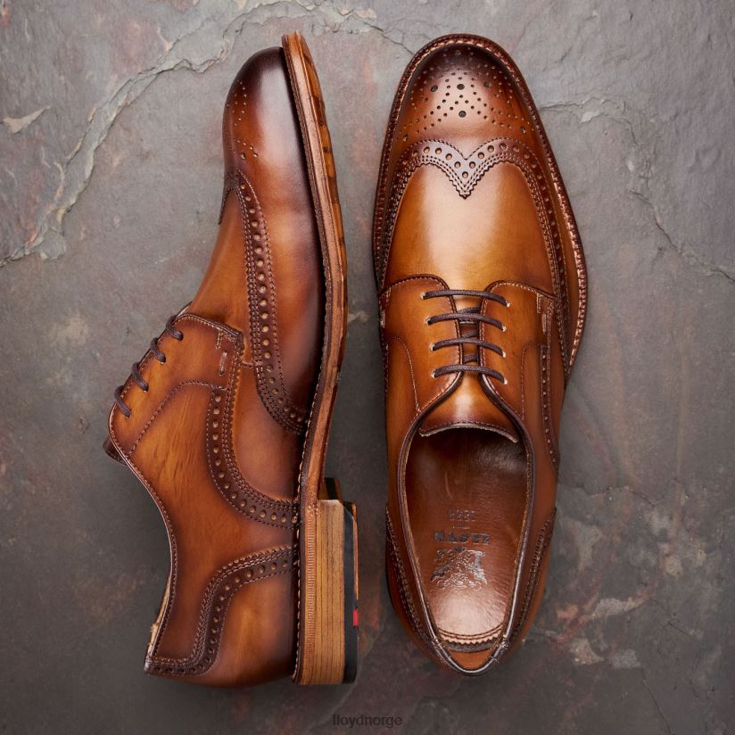 LLOYD warwick menn sko brun 4X82ZP74