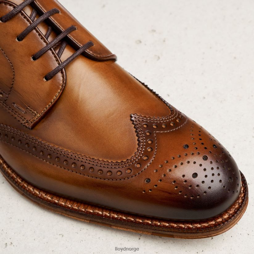 LLOYD warwick menn sko brun 4X82ZP74