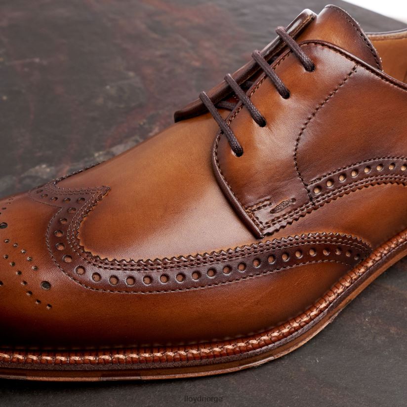 LLOYD warwick menn sko brun 4X82ZP74